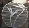 Bird of Paradice0001.JPG